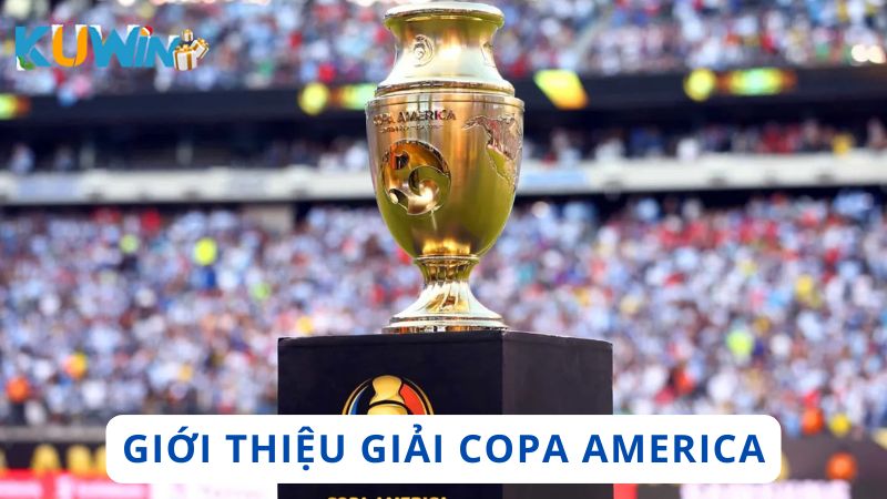 Đôi nét nổi bật về giải Cúp bóng đá Nam Mỹ