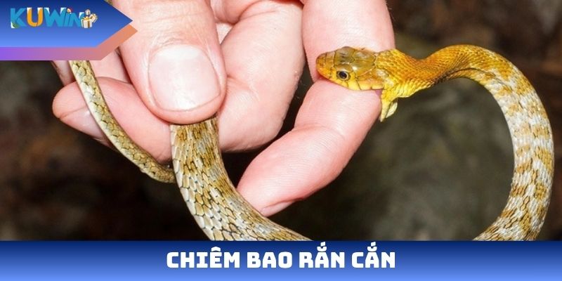 Chiêm bao rắn cắn